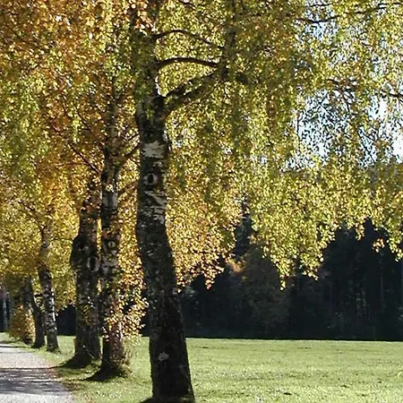 Landhaus Seeblick Appartamento *