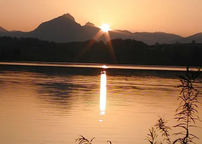 湖景乡村别墅公寓 * 福森